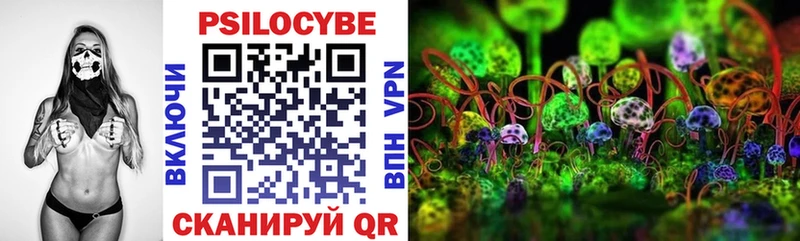 наркошоп  Николаевск  Галлюциногенные грибы Cubensis 